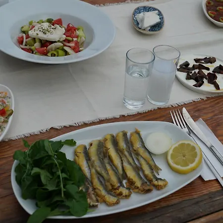 Assos Ada 酒店 Ayvacik (Canakkale)