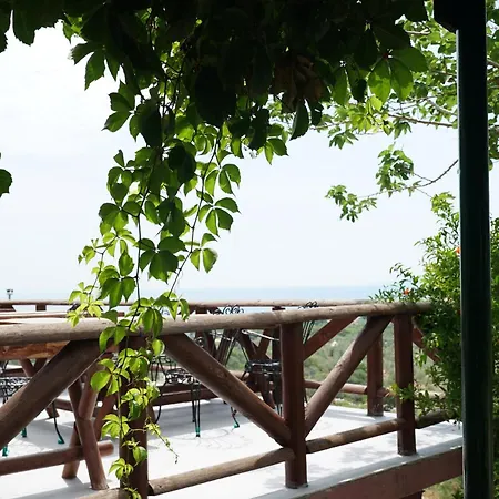 Hotel Assos Ada *