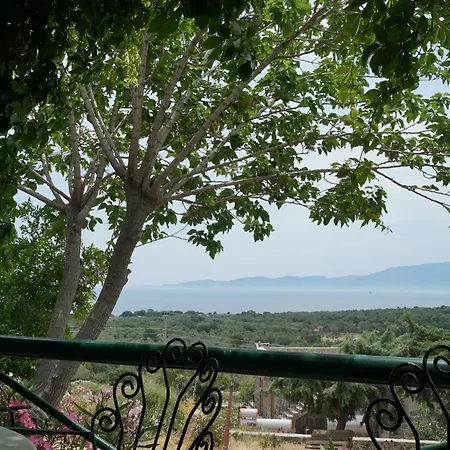 Assos Ada Hotel