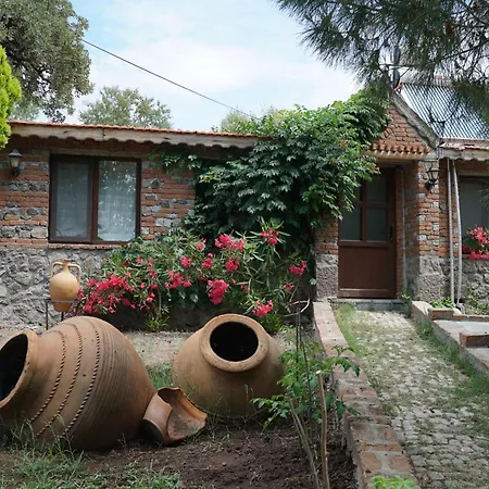 Hotel Assos Ada
