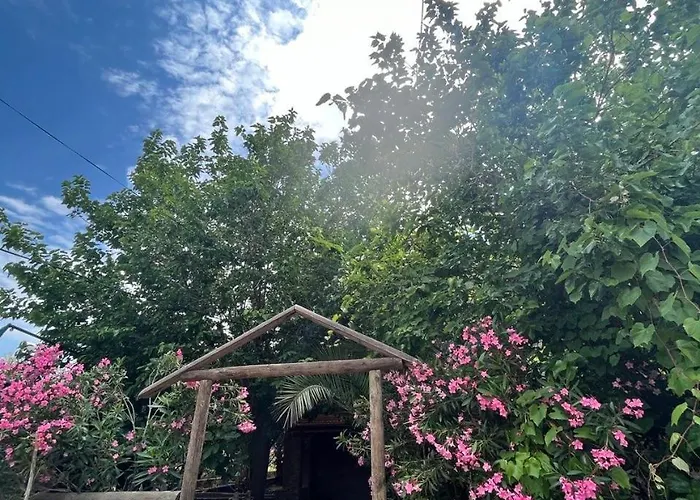 Assos Ada Szálloda Ayvacık